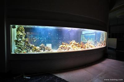 隆林魚樂水族經(jīng)營店（隆林魚樂水族經(jīng)營店地址）