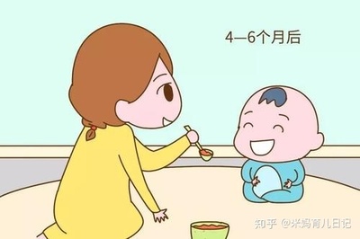 几个月开始辅食