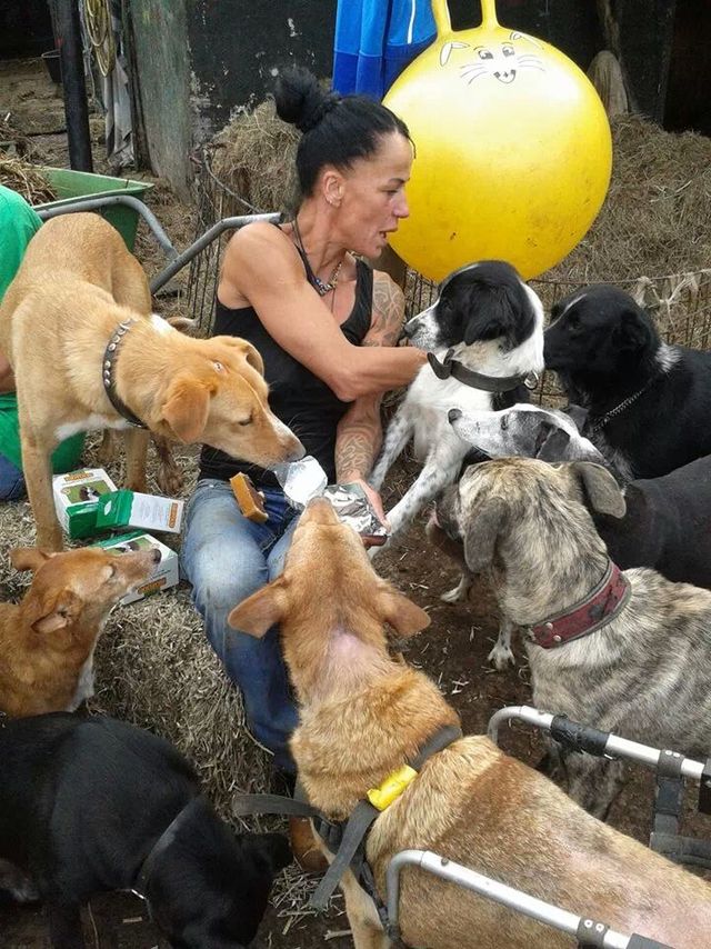 狗狗性格