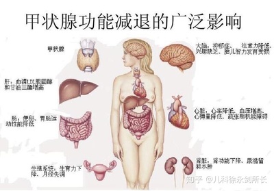 甲状腺偏小是怎么回事