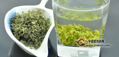 普洱茶哪里的最好