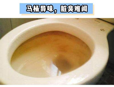 马桶长期不用怎么处理