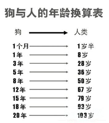 属羊女与属鸡男相配吗
