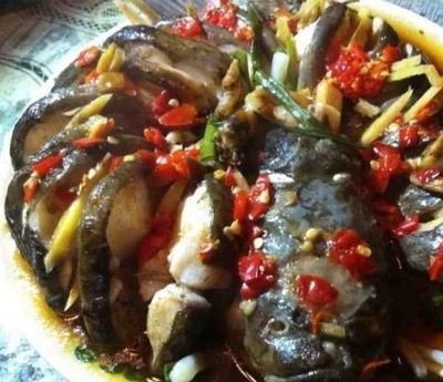 蒸草鱼做法大全家常菜窍门