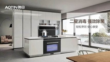 奥田厨房电器中国排行