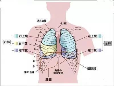 肺衰竭怎么治疗