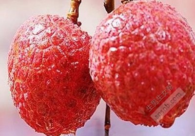 孕妇吃荔枝好吗