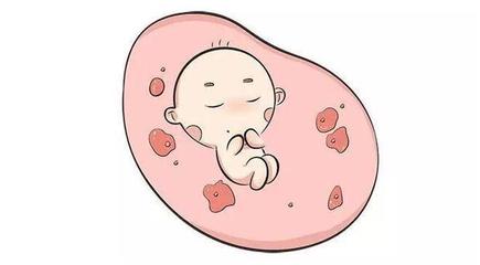 孕妇多少周有胎动