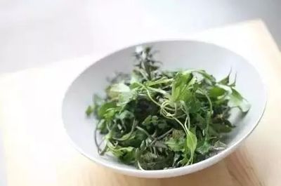 孕妇能不能吃荠菜