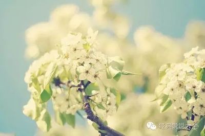 人怎么才能运气好