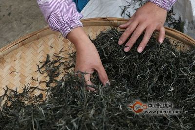 班章普洱茶价格