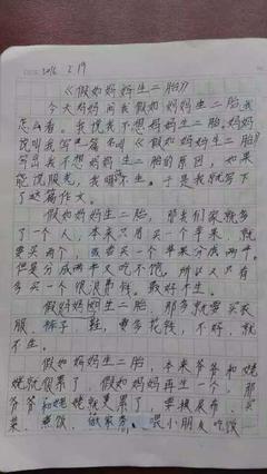 相遇450字作文怎么写