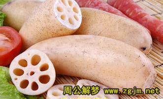 周公解梦梦见藕