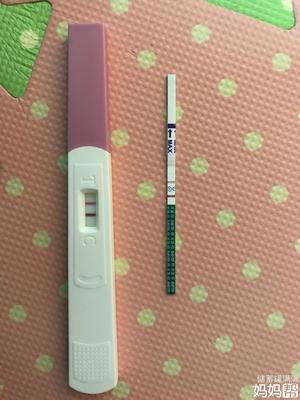 还没着床能测出怀孕吗