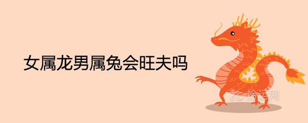 男属兔女属龙婚姻配吗