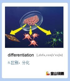 小练笔清明怎么写