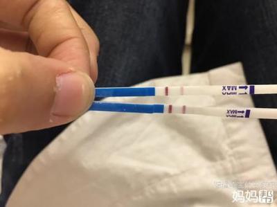 打狂犬疫苗影响怀孕吗