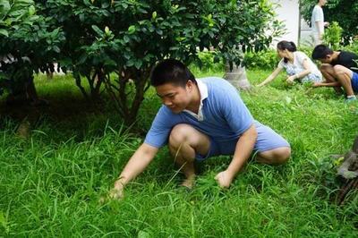 梦见自己在地里拔草