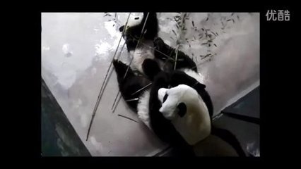 孕妇梦见傻子是胎梦吗