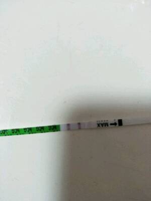 月经多久是排卵期