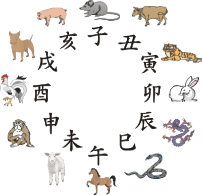 兔和猴的属相合不合