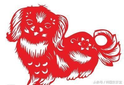 属狗人今天财运