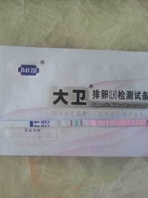 怀孕第一个月会来月经