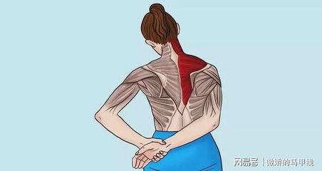 肩膀骨头疼是怎么回事