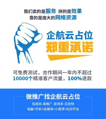 汽车电商推广