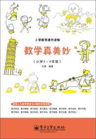 数学真美妙读后感