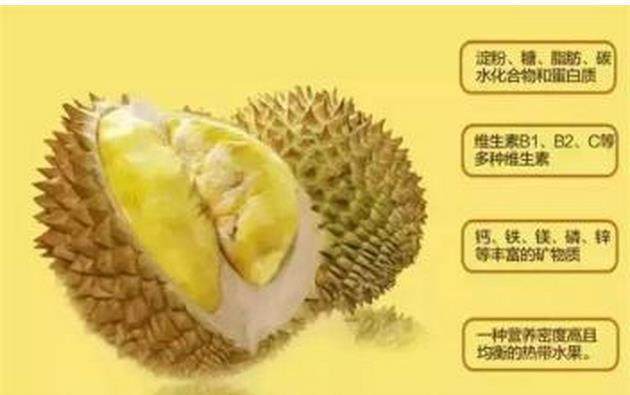 坐月子能不能吃榴莲