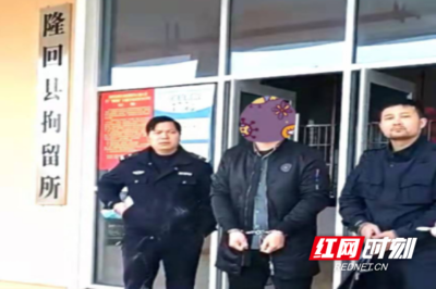 二审后多久强制执行