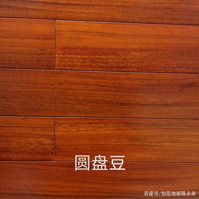 二翅豆 圆盘豆 地板