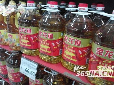 熱帶魚缸視頻（熱帶魚缸維護(hù)周期指南） 魚缸百科