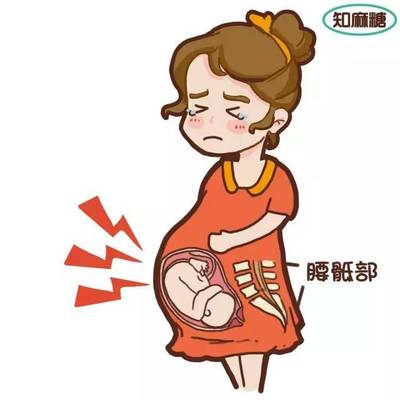 要生宝宝