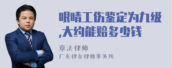 工伤鉴定九级多少钱