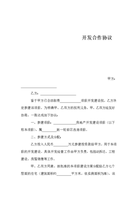 项目开发合作协议