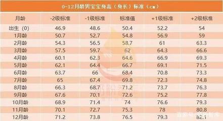 16个月女宝宝身高