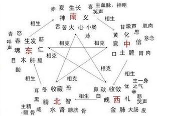 泰字属于五行属什么