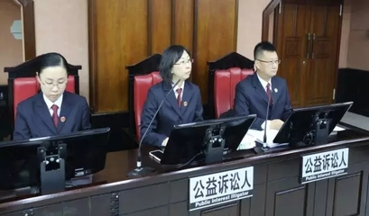 公益诉讼案件