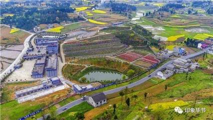 毕节市金沙县属于哪个省
