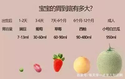 六个月的宝宝胃有多大