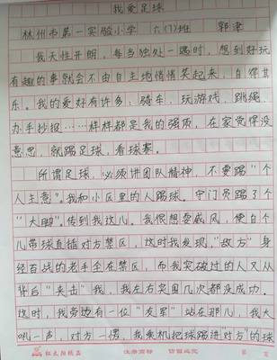 我的爱好自行车作文300字作文怎么写