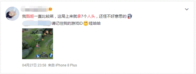甄姬的大招是什么