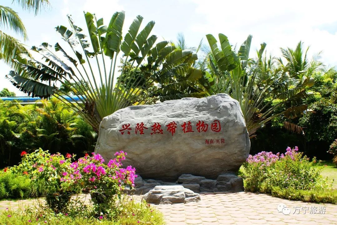 万宁4天亲子慢游山海