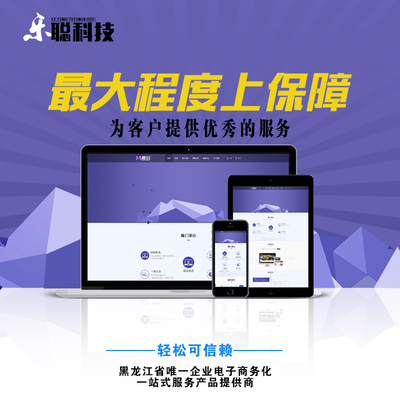 哈尔滨关键词优化软件,网站关