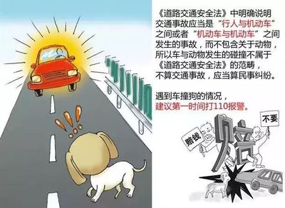 出现交通事故怎么办