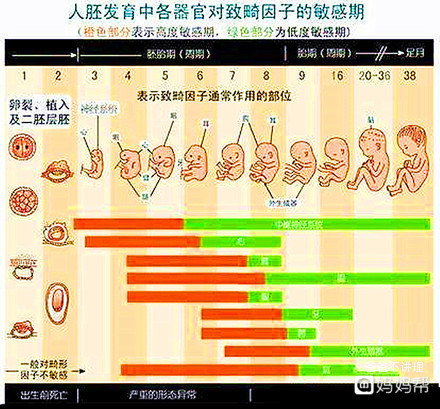 怀孕甲醛对胎儿的影响