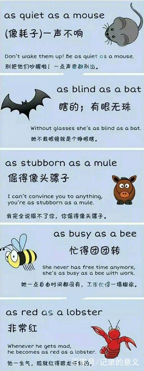 mule在俚语里指什么