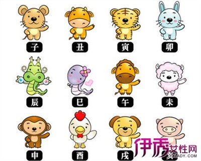 12生肖有什么